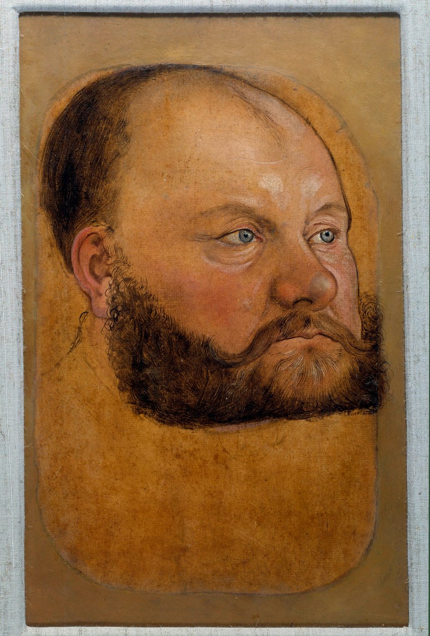 Saksonya Prensi Kurt Anhalt'ın Portresi, Reform Prensi Eski Lucas Cranach (ya da Yaşlı) tarafından Pastel çizimi by Lucas the Elder Cranach
