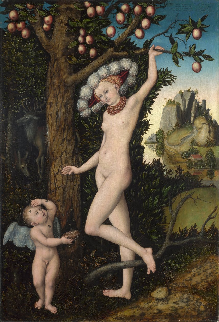 Venüs ve Aşk Tanrısı, c.1525 (tahta üzerine yağlı boya) by Lucas the Elder Cranach