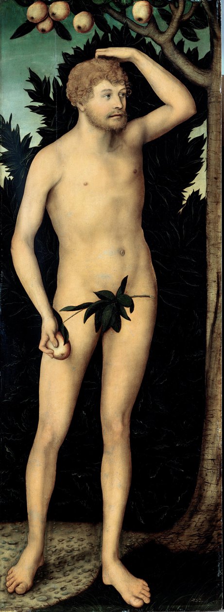 ""Adam"" Resim Lucas Cranach II genç (1515-1586) 1537 Dim