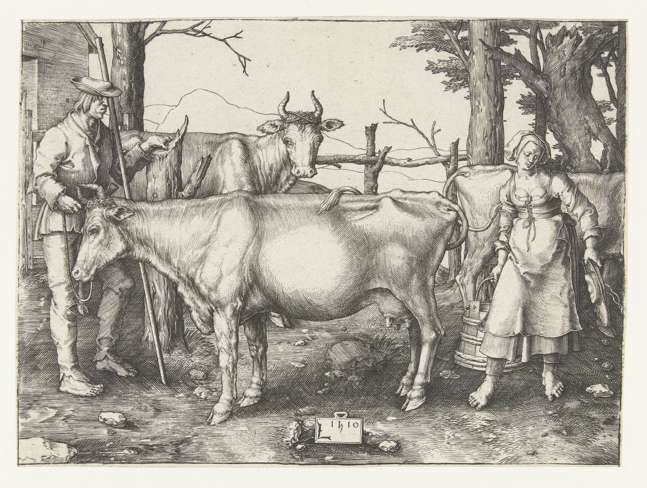 Sütçü Kız by Lucas van Leyden
