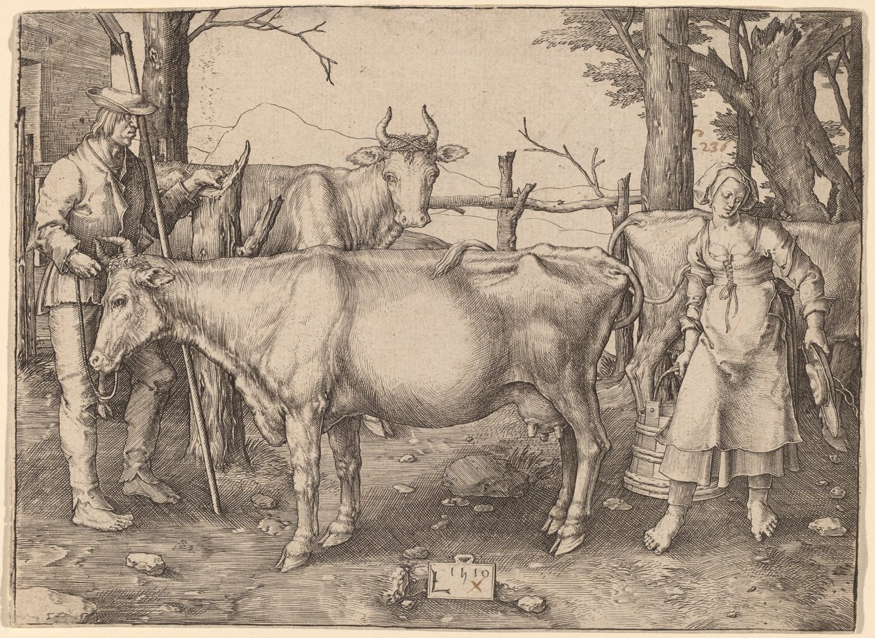 Sütçü Kız by Lucas van Leyden