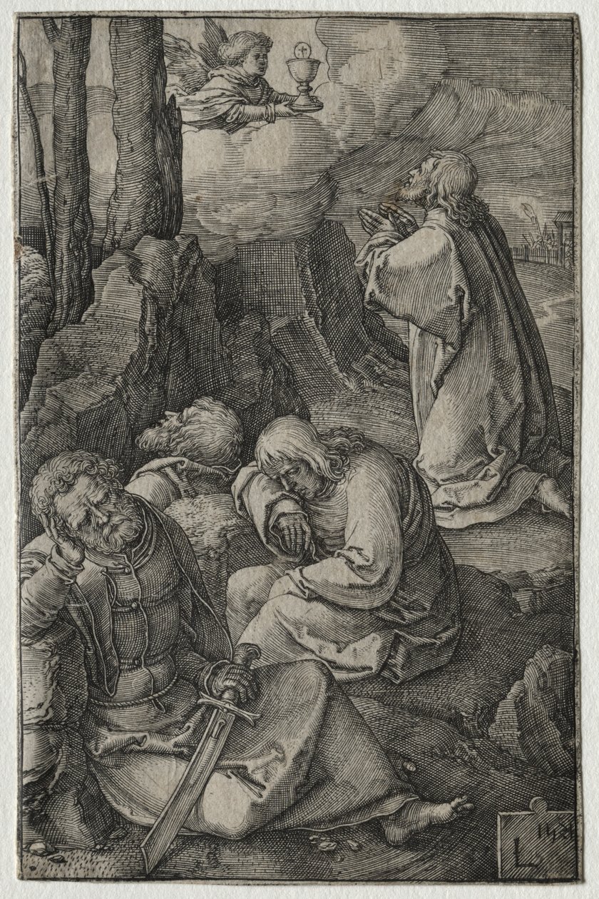 Tutku: Bahçedeki Acı by Lucas van Leyden