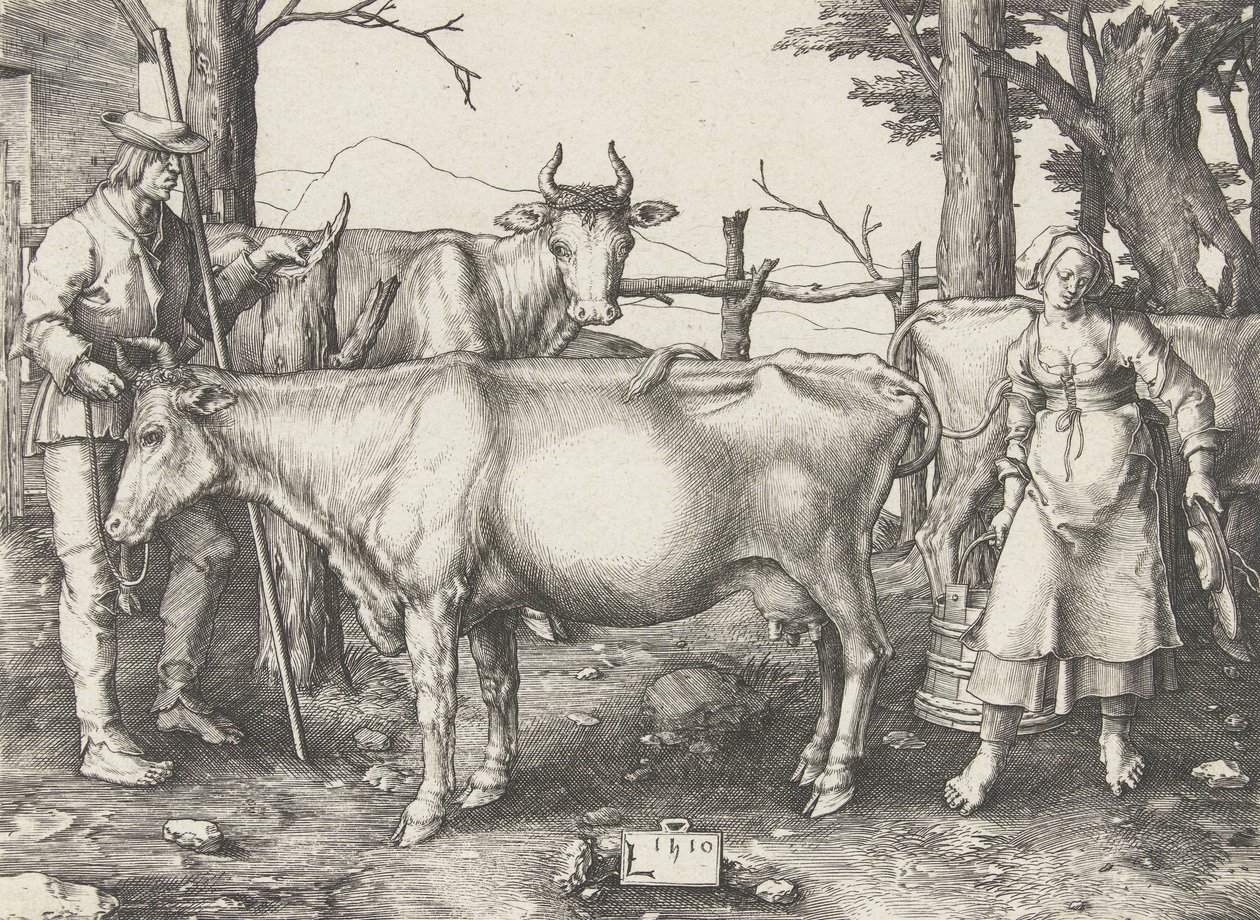 sütçü by Lucas van Leyden