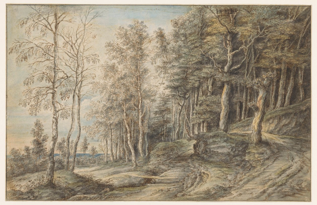 orman manzarası by Lucas van Uden