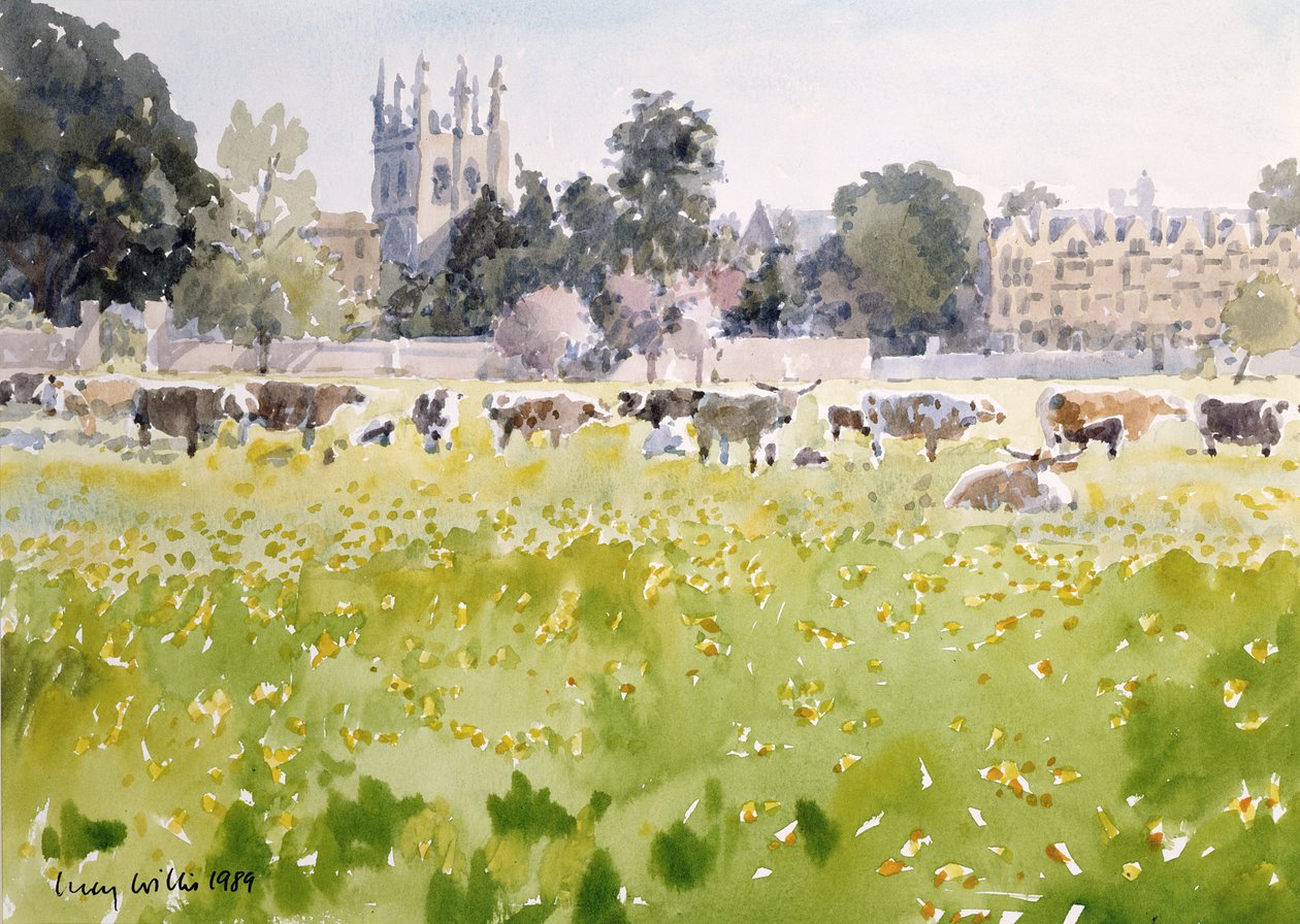 Christ Church Meadows