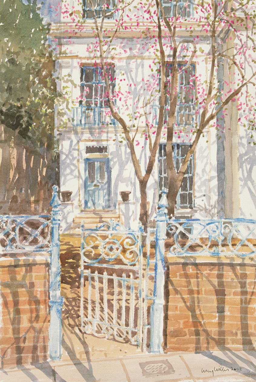 Judas Tree, 2003 (kağıt üzerinde wc) by Lucy Willis