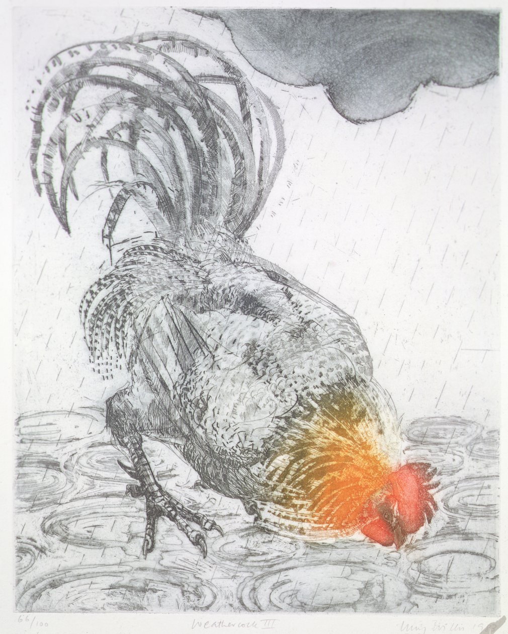 Weathercock II, 1983 (kağıt üzerine gravür) by Lucy Willis
