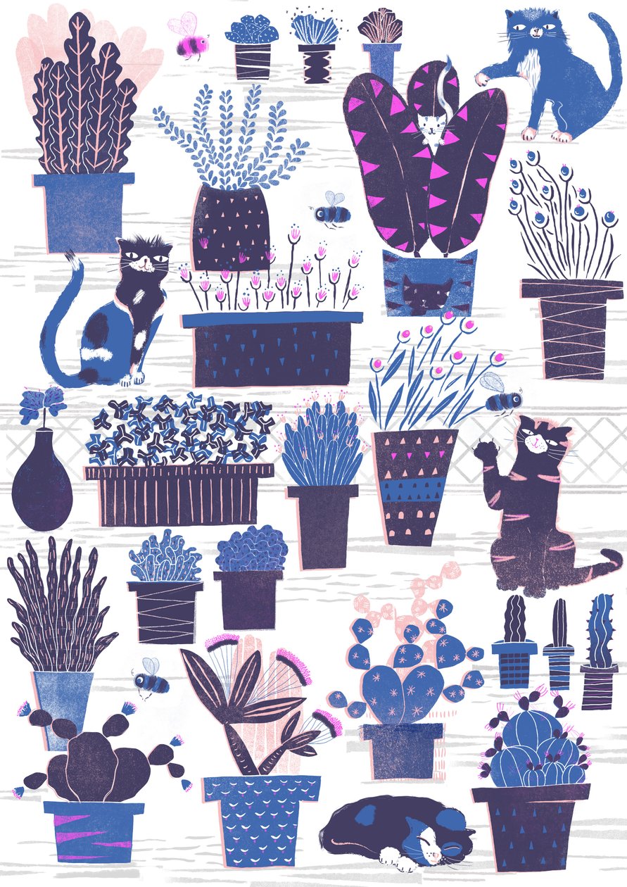  by Lucy Banaji