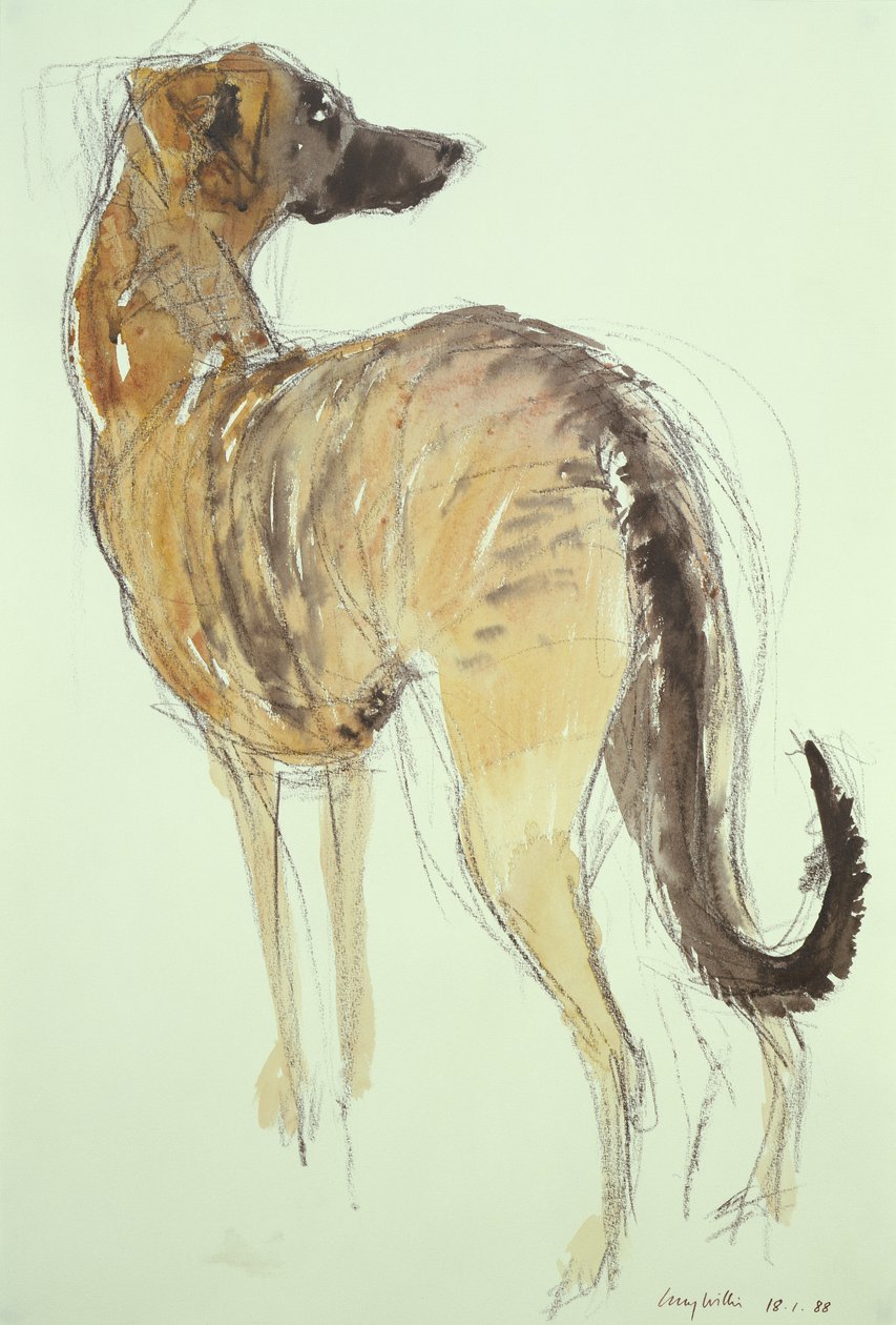 Lurcher Ayakta by Lucy Willis