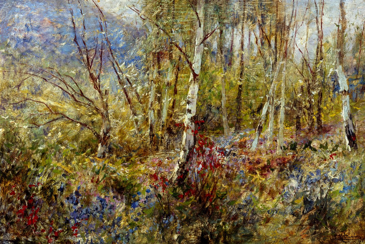 Ormanlık alan, Ludovico Cavaleri (1867-1942), panel üzerine yağlı boya, 50x75 cm by Ludovico Cavaleri
