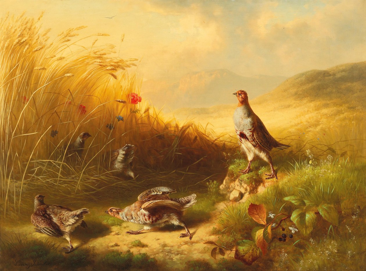 Dağ Çayırlarında Yavru Kuşlu Keklik by Ludwig Schuster