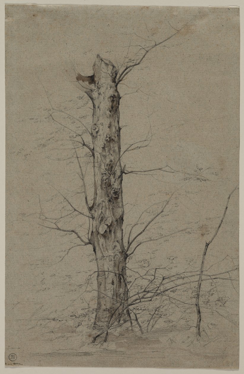 Ağaç by Ludwig Ferdinand Schnorr von Carolsfeld