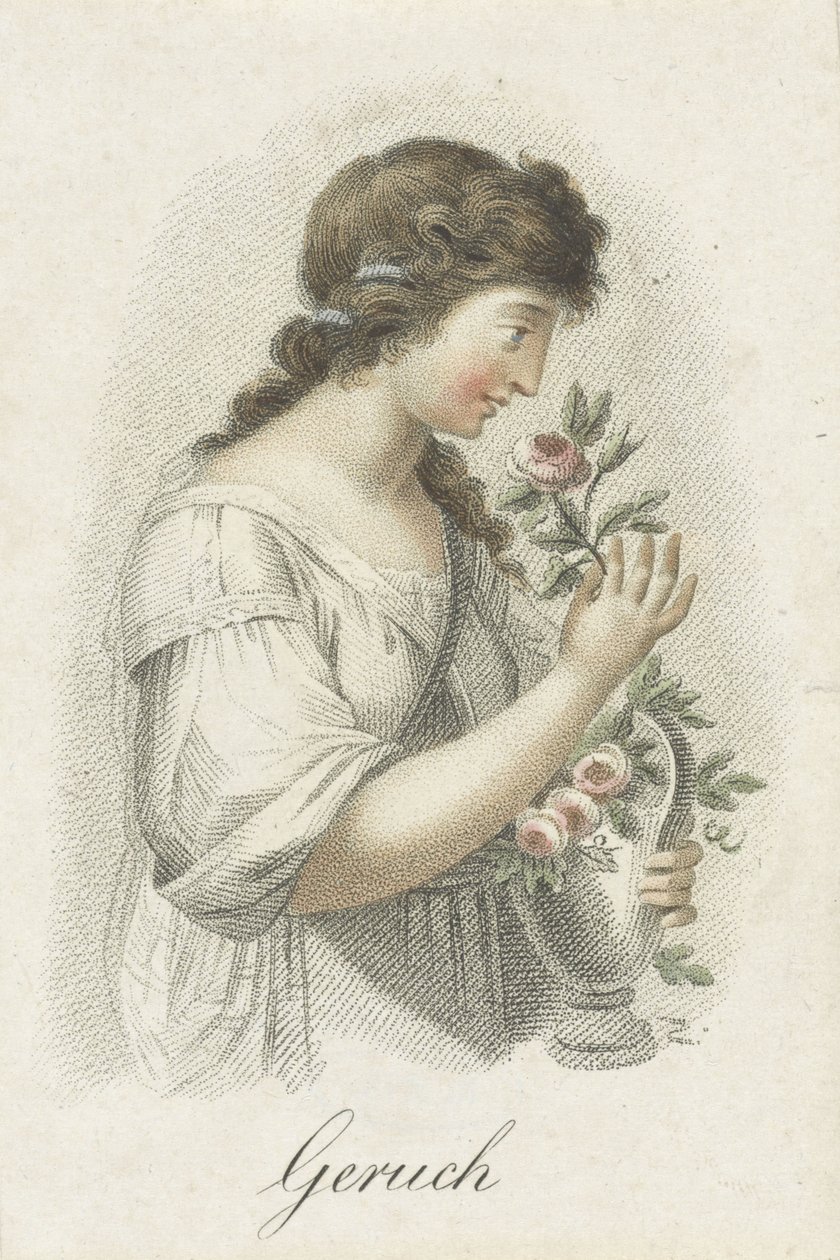 Koku Söylenti (nesne üzerindeki başlık) Kadın figürleriyle temsil edilen beş duyu (dizi adı) Die Funf Sinne (dizi adı) by Ludwig Gottlieb Portman