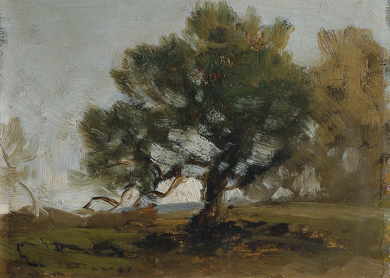 manzara by Ludwig Willroider