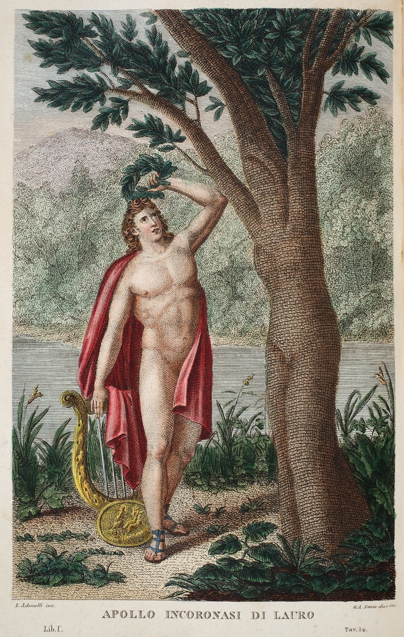 Defne veya Apollo Incoronasi de Lauro