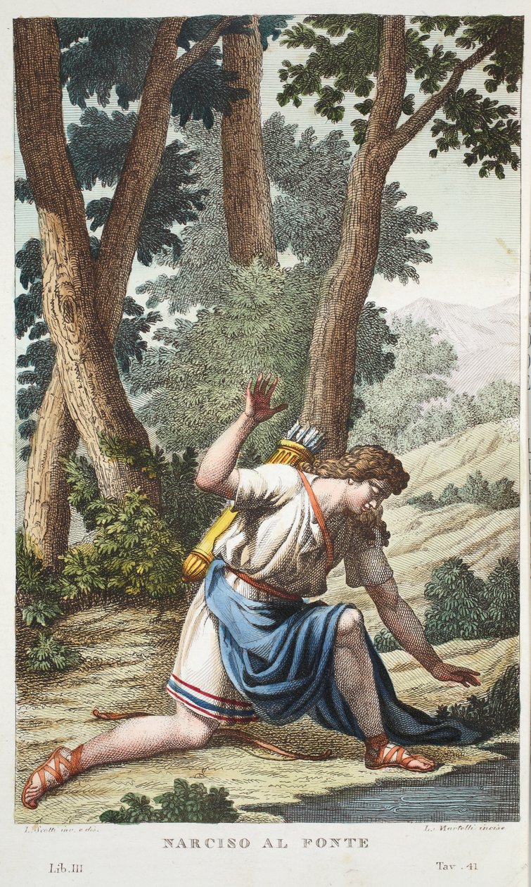 Bir çiçeğe ya da Narciso al Fonte