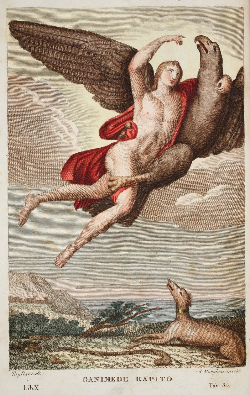 Ganymede Cennete veya Ganimede Rapito, Kitap X, Ovid