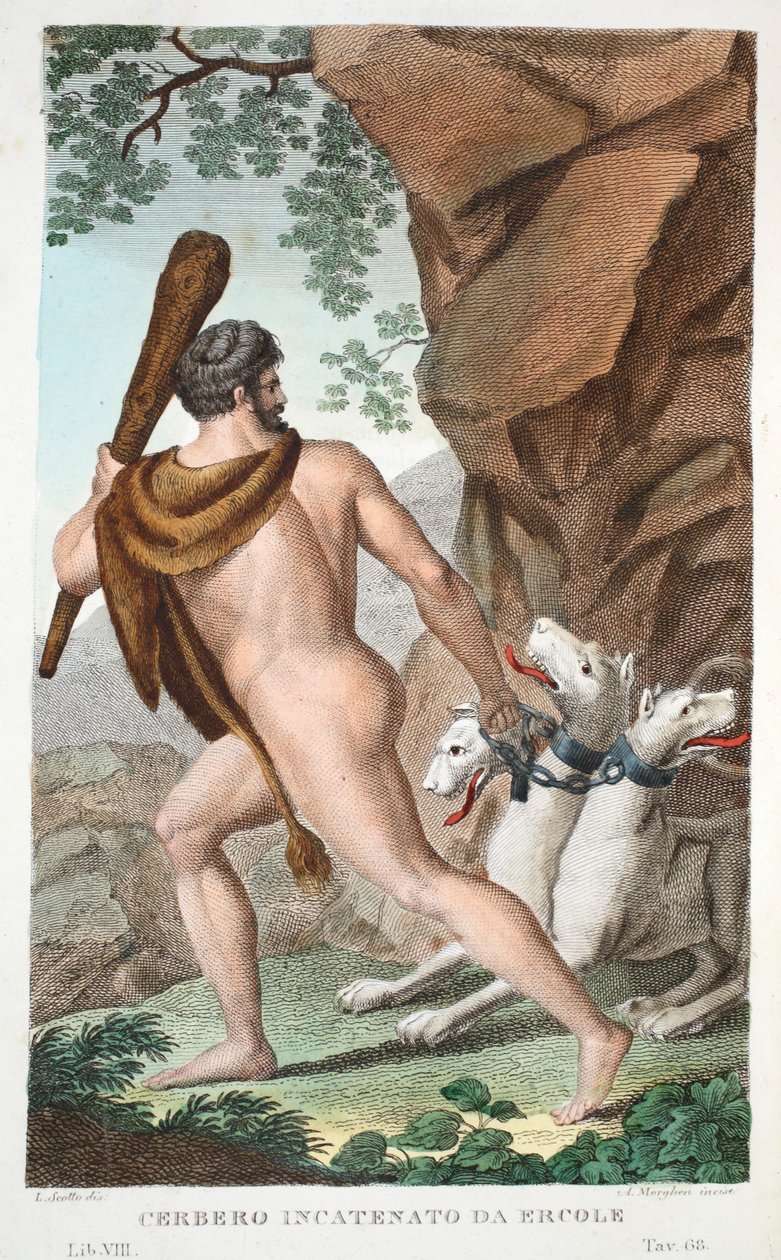 Herkül ve Cerberus veya Cerbero Incatenato da Ercole, Kitap VII, Ovid