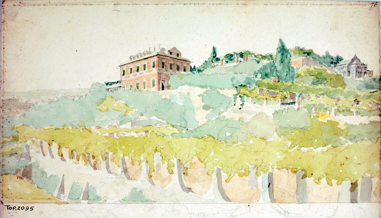 Cenova