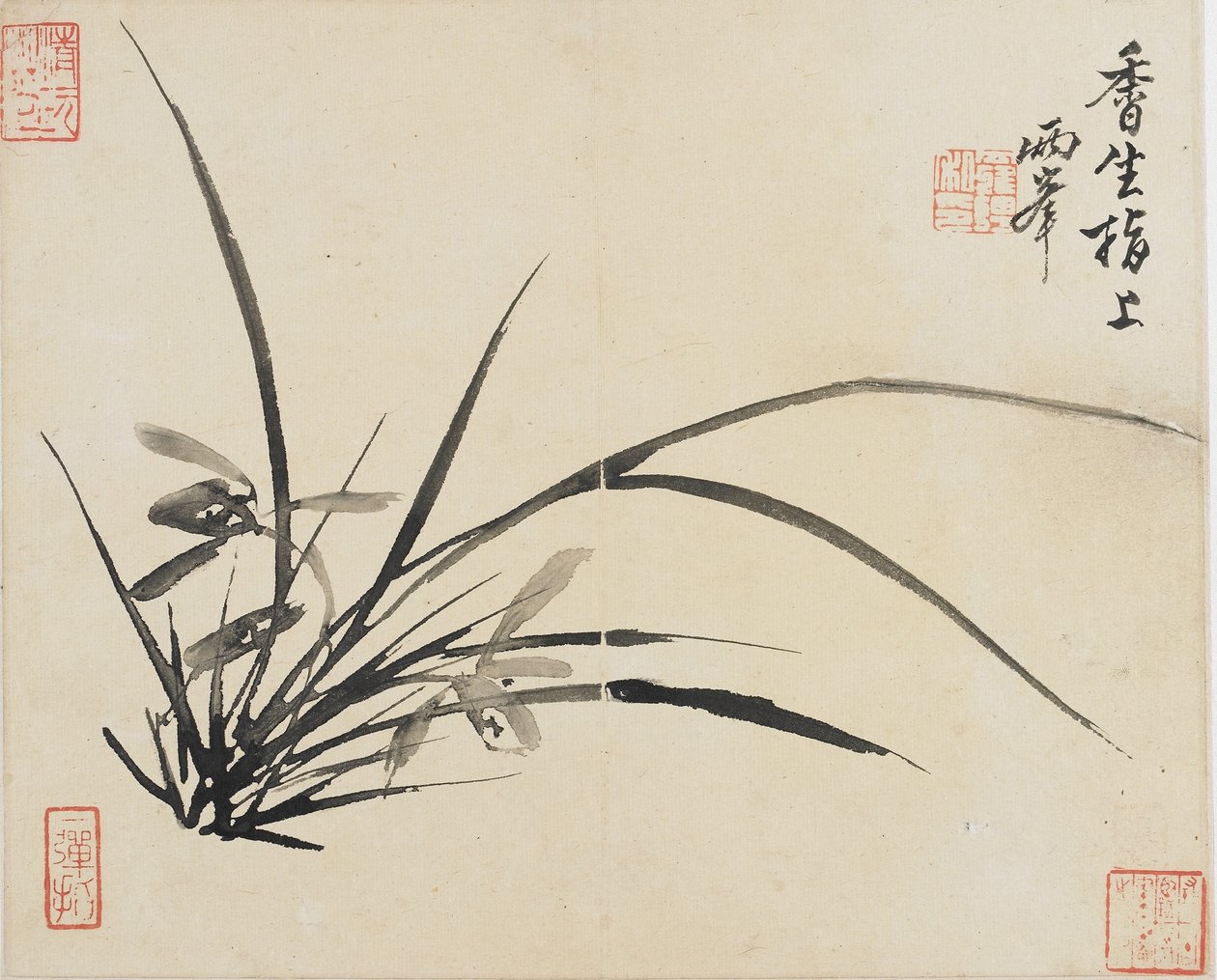 Manzaralar, Çiçekler ve Kuşlar: Orkide, Qing Hanedanlığı, 1780 (kağıt üzerine mürekkep) by Luo Ping