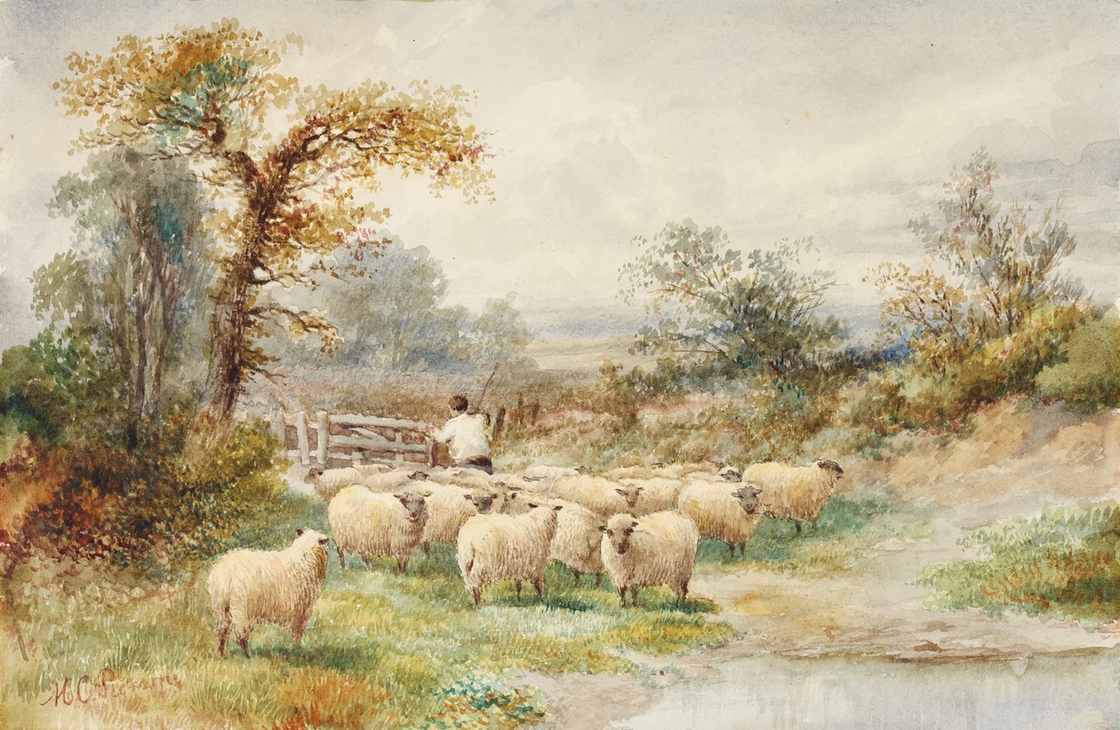 Peyzaj ve Koyun (kağıt üzerinde wc) by M.C. Parsons
