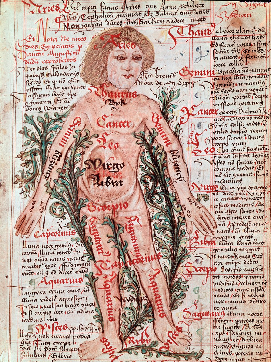 Medicine: influence of the zodiac on human diseases (Miniature by M Albik