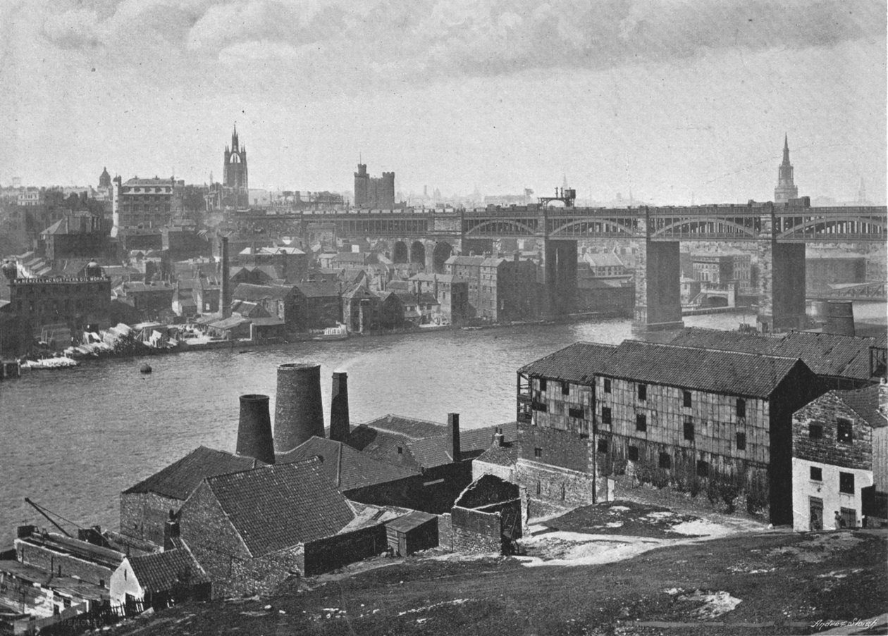 Newcastle-on-Tyne, Tavşan Bankalarından, c1900 by M. Aunty