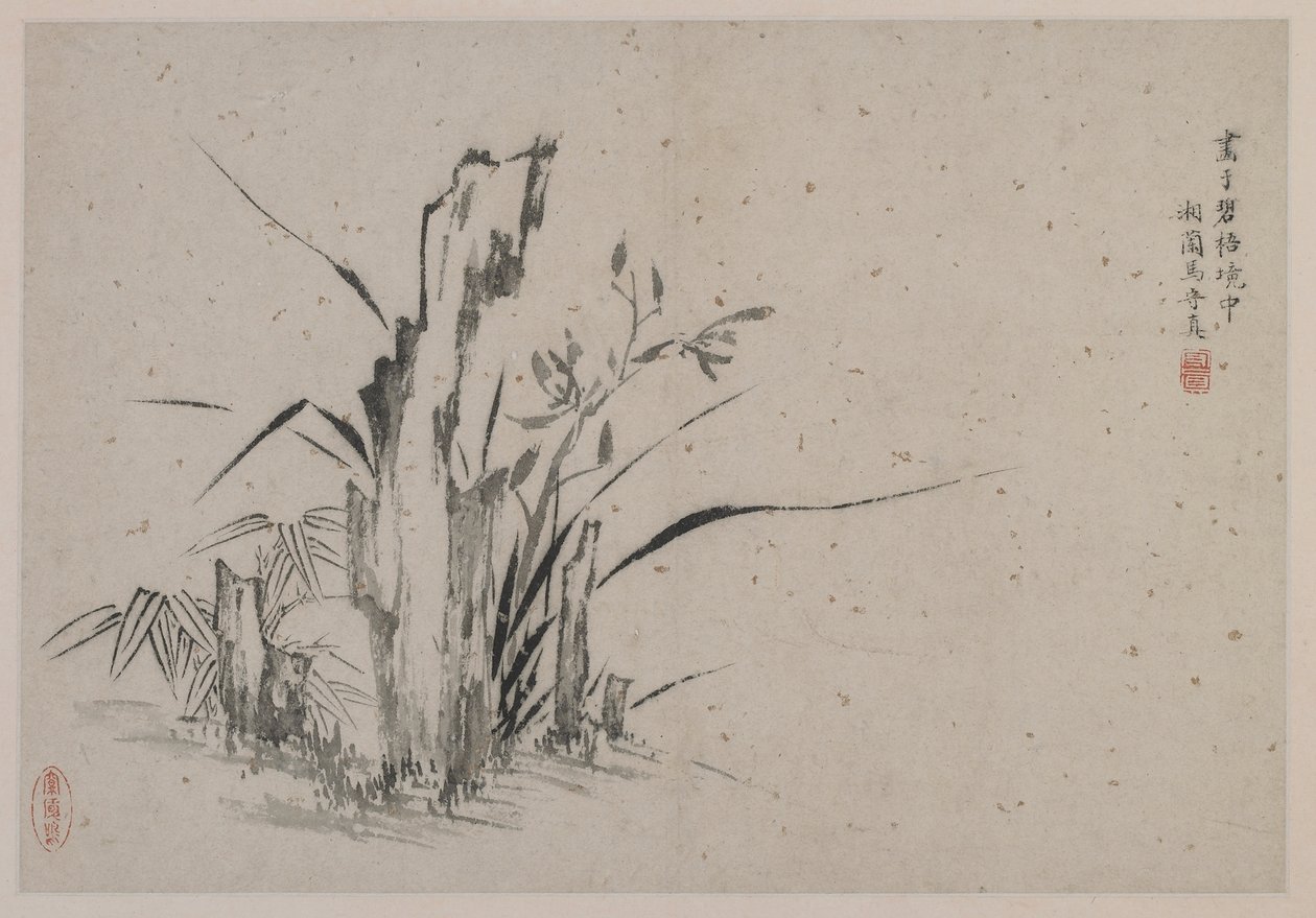 Kayalar, orkideler ve bambu, Ming hanedanı (altın benekli kağıt üzerine mürekkep) by Ma Shouzhen