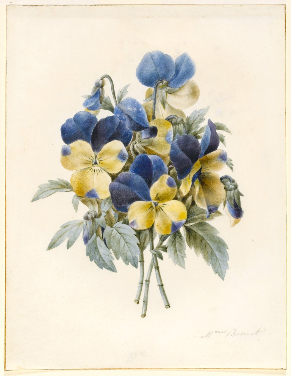 Sprig of Pansies (wc & some bodycolour on paper) by Madame Benoit