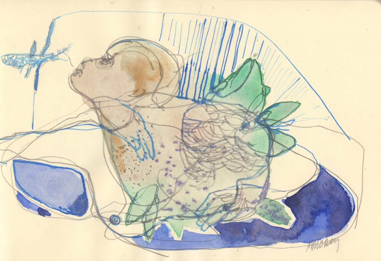  by Madgalena Morey