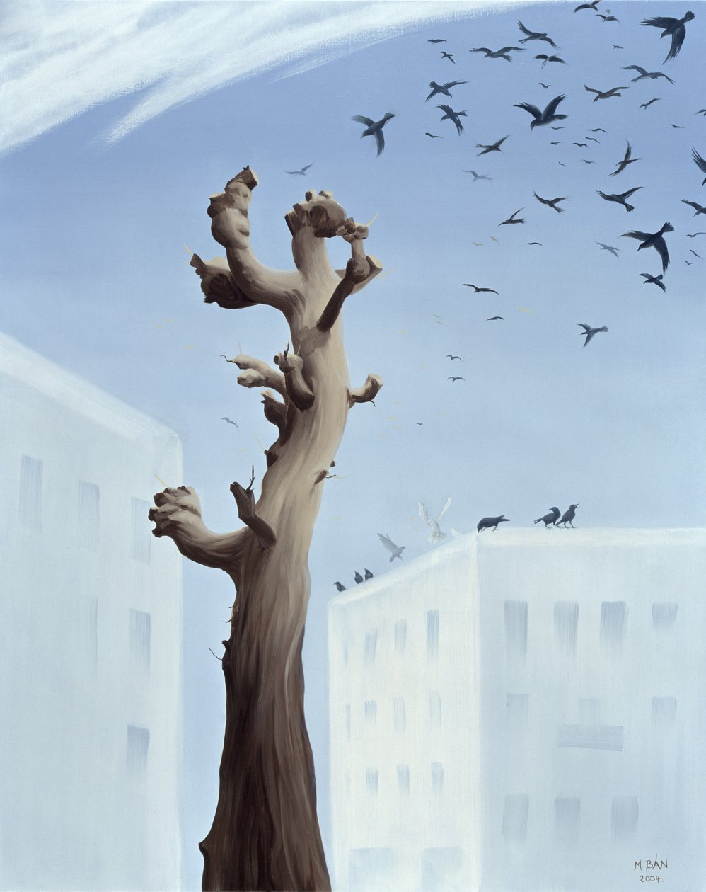 şaşkınlık, 2004 by Magdolna Ban