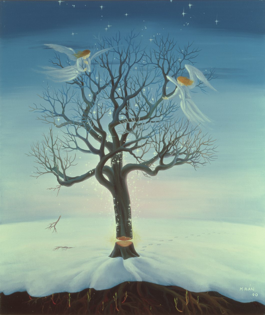 Yeniden Doğmak, 2000 by Magdolna Ban