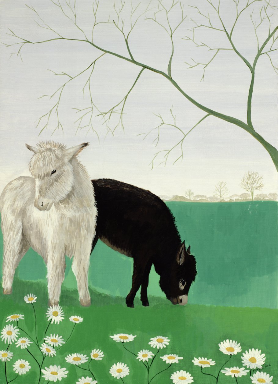 Eşekler ve Papatyalar by Maggie Rowe