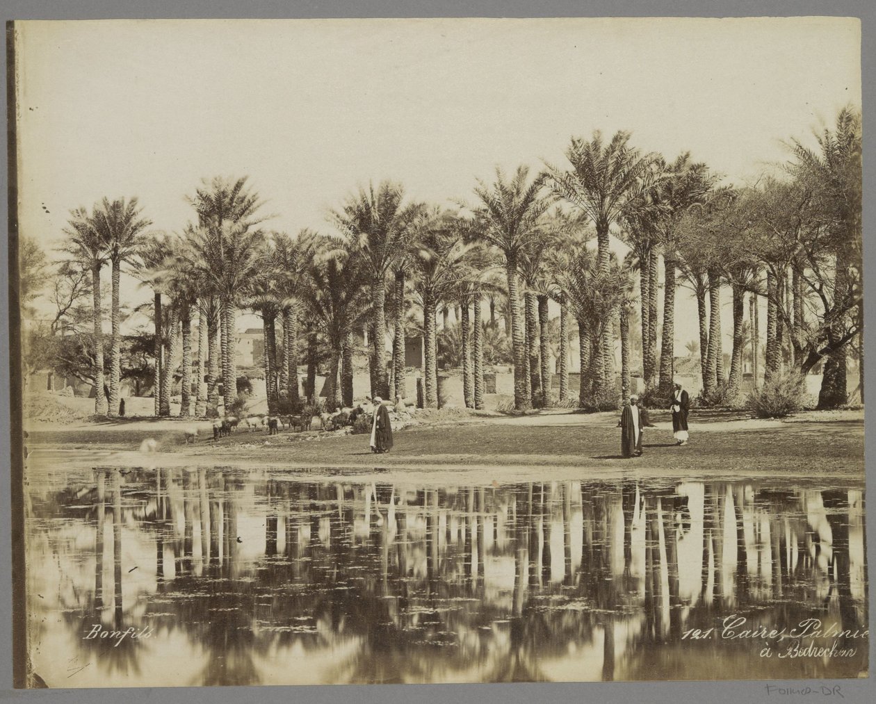 Bedrechen Caire, Palmie[(...)] à Bedrecken'de su kenarında palmiye ağaçlarının altında keçileri olan adamlar (nesne üzerindeki başlık) by Maison Bonfils