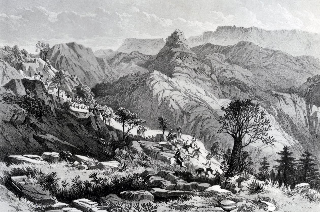 Dongolo yakınlarındaki yürüyüşte, James Ferguson tarafından kazınmış, 1868 by Major A.G.F. Hogg