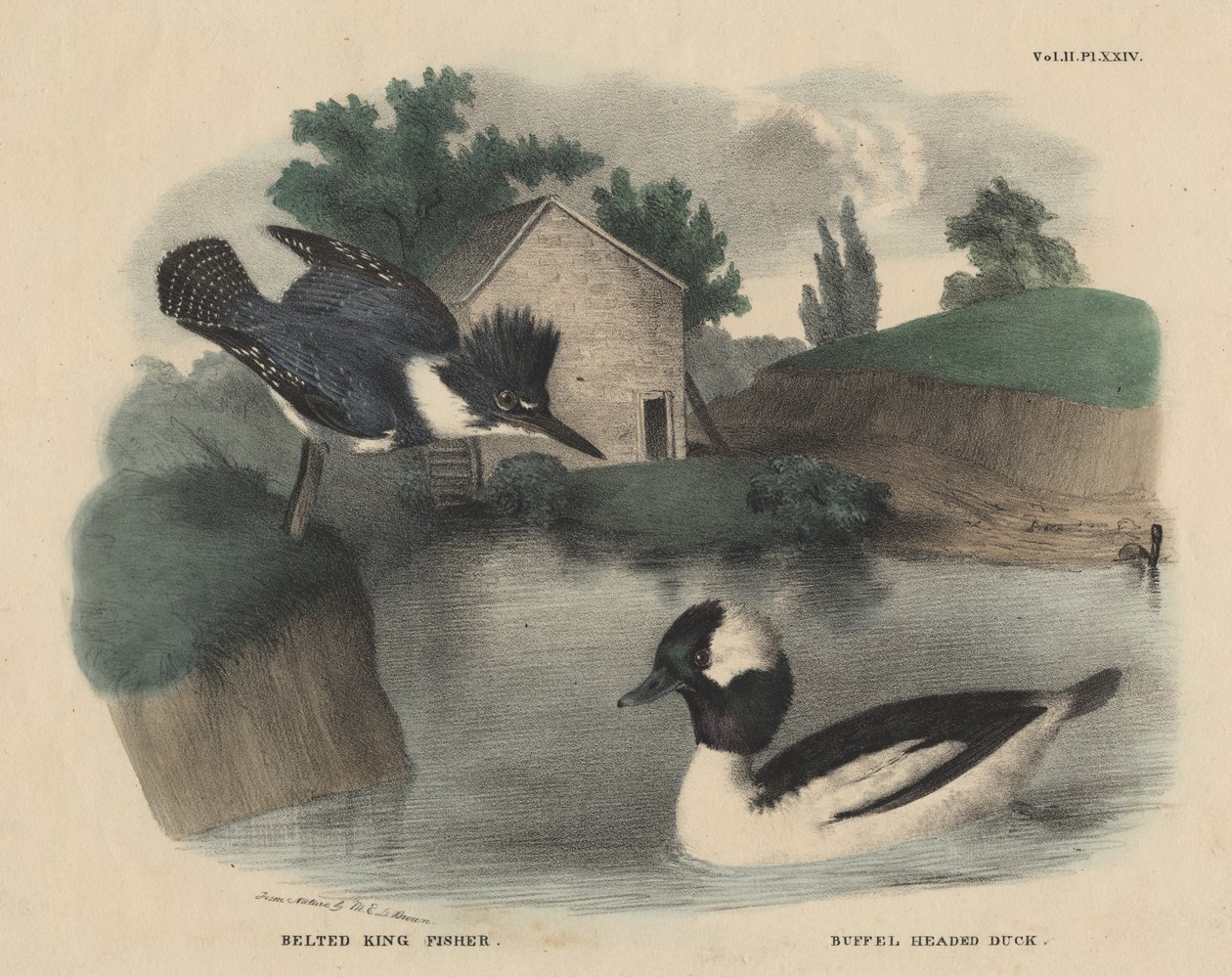 J. und T. Doughty