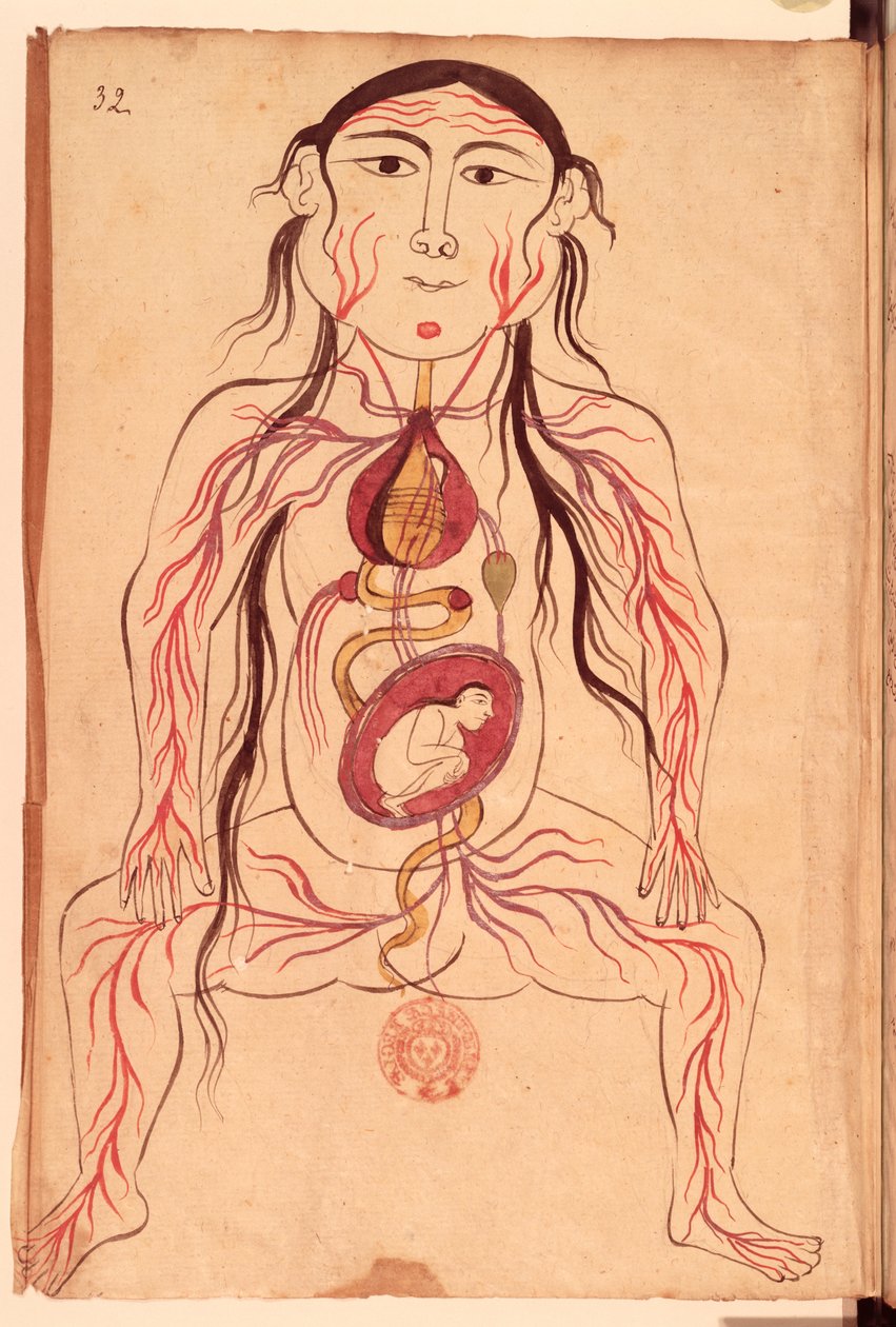 Persan 151 Fol.32 Bir kadın ve fetüsünün anatomik diyagramı by Mansour b. Eliyas Chirazi