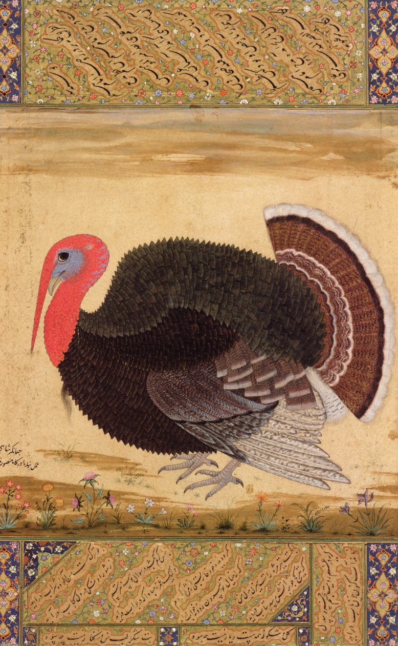 Wantage Albümü, Babür, c.1612