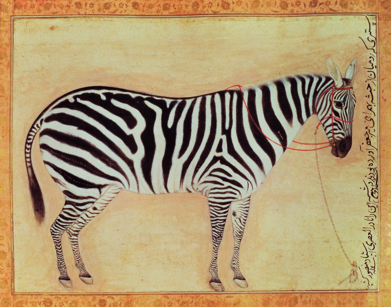 Minto Albümünden Zebra, Babür, 1621, by Mansur