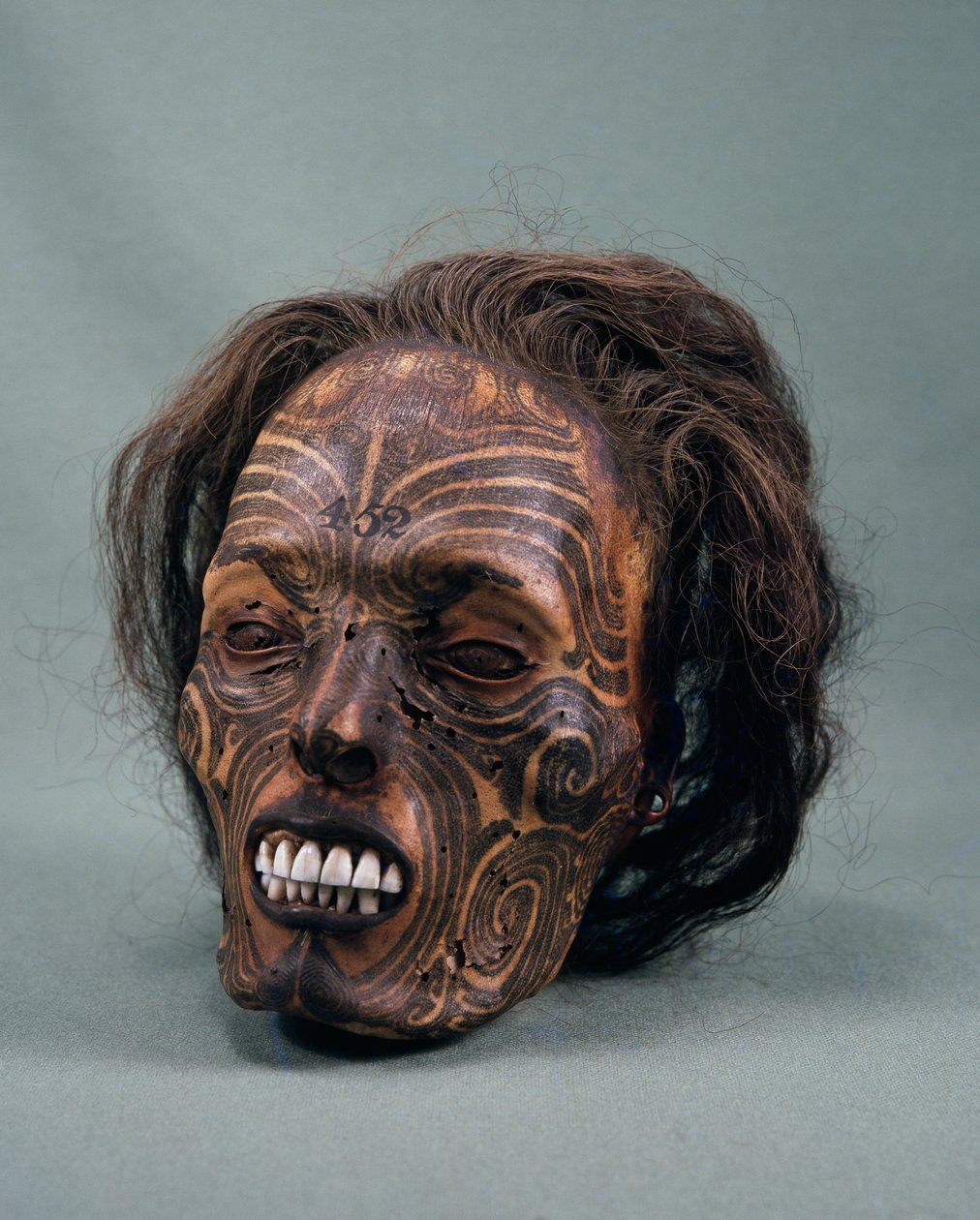 Kabile şefinin kafası, dövmeli ve mumyalanmış, Maori uygarlığı by Maori Maori