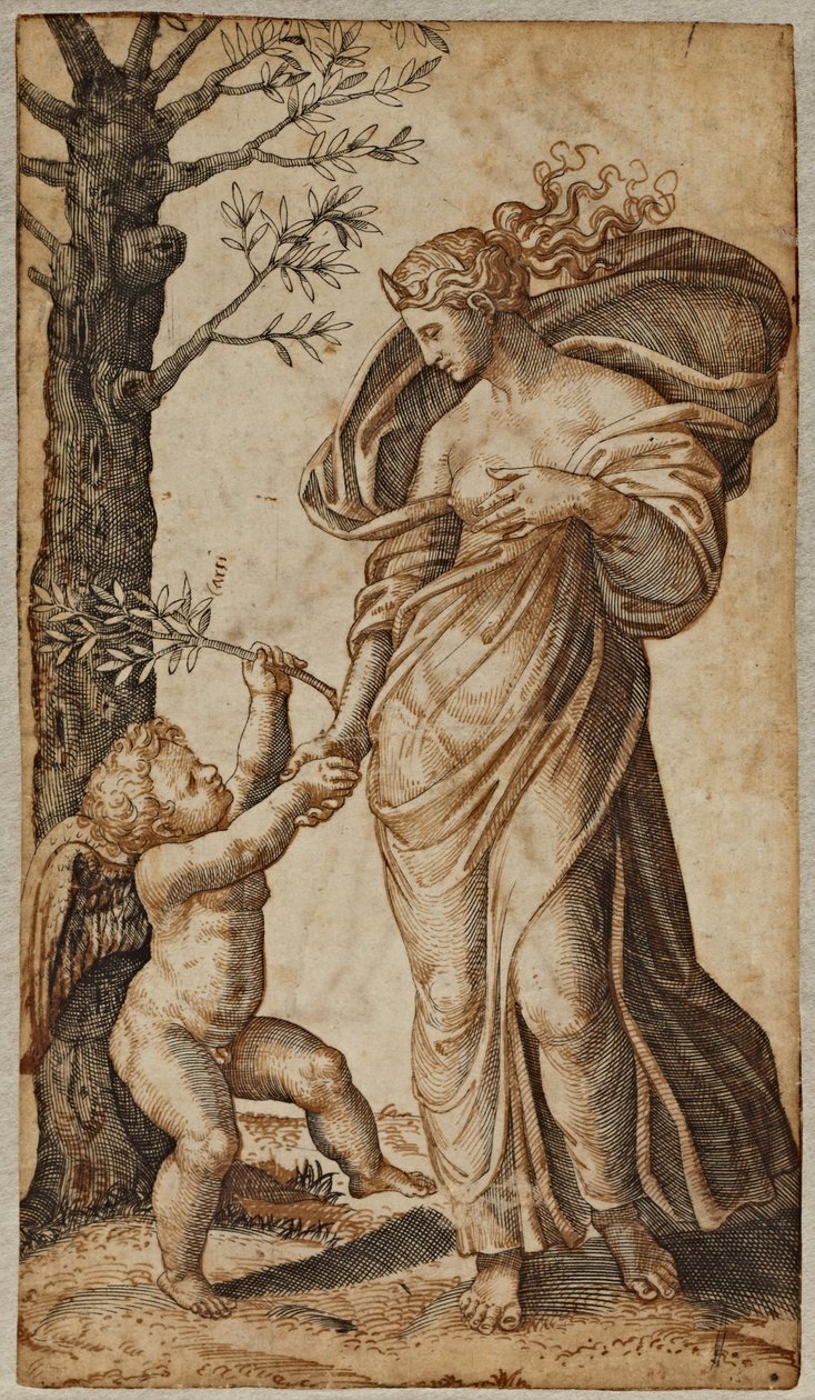 Minerva ve Cupid