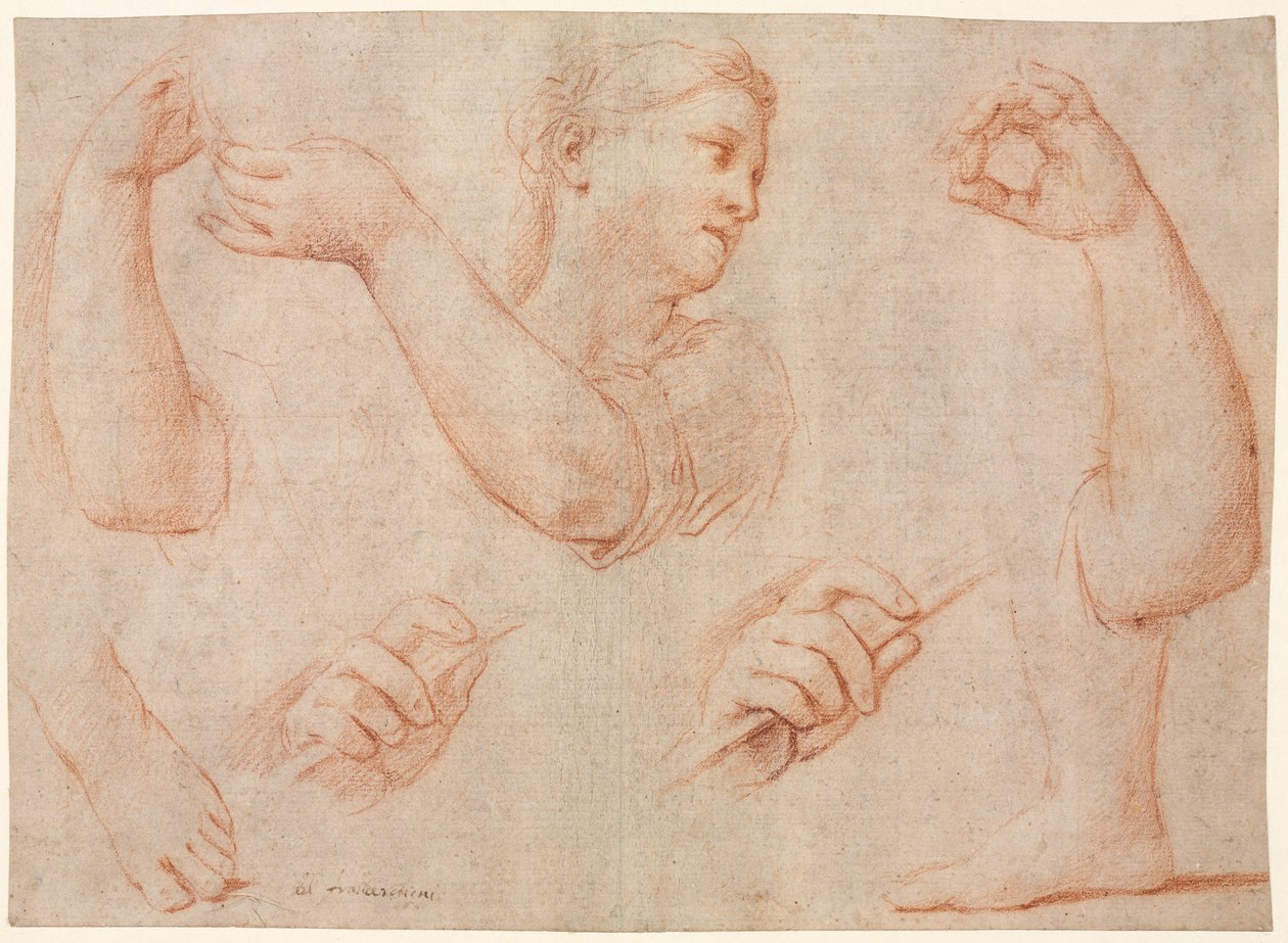 Tef Çalan Genç Kadın Çalışması ve Kol, El ve Ayak Çalışmaları..., c. 1711. by Marcantonio Franceschini