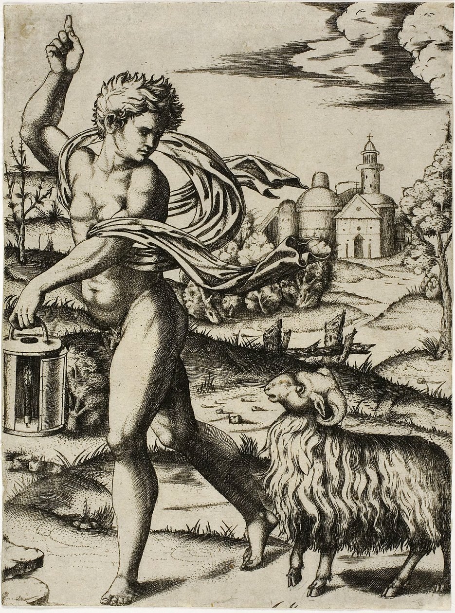 Ram
