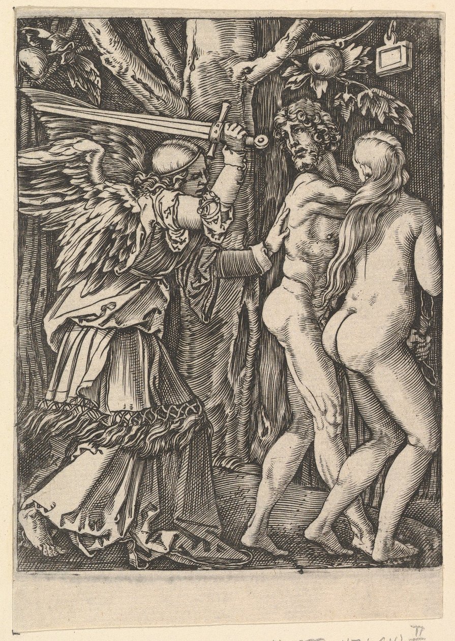 Cennetten Kovulma, Dürer