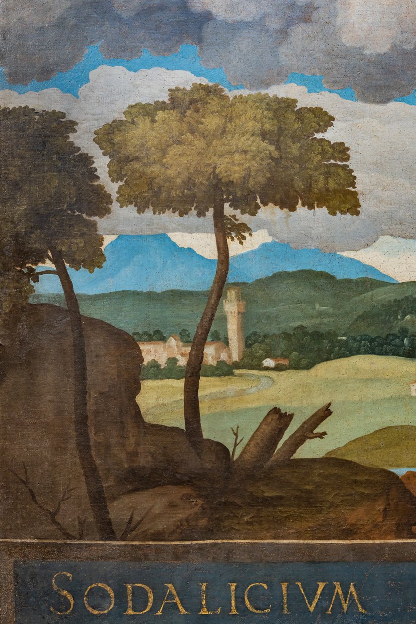 Vicenza şehrinin detayı by Marcello Fogolino