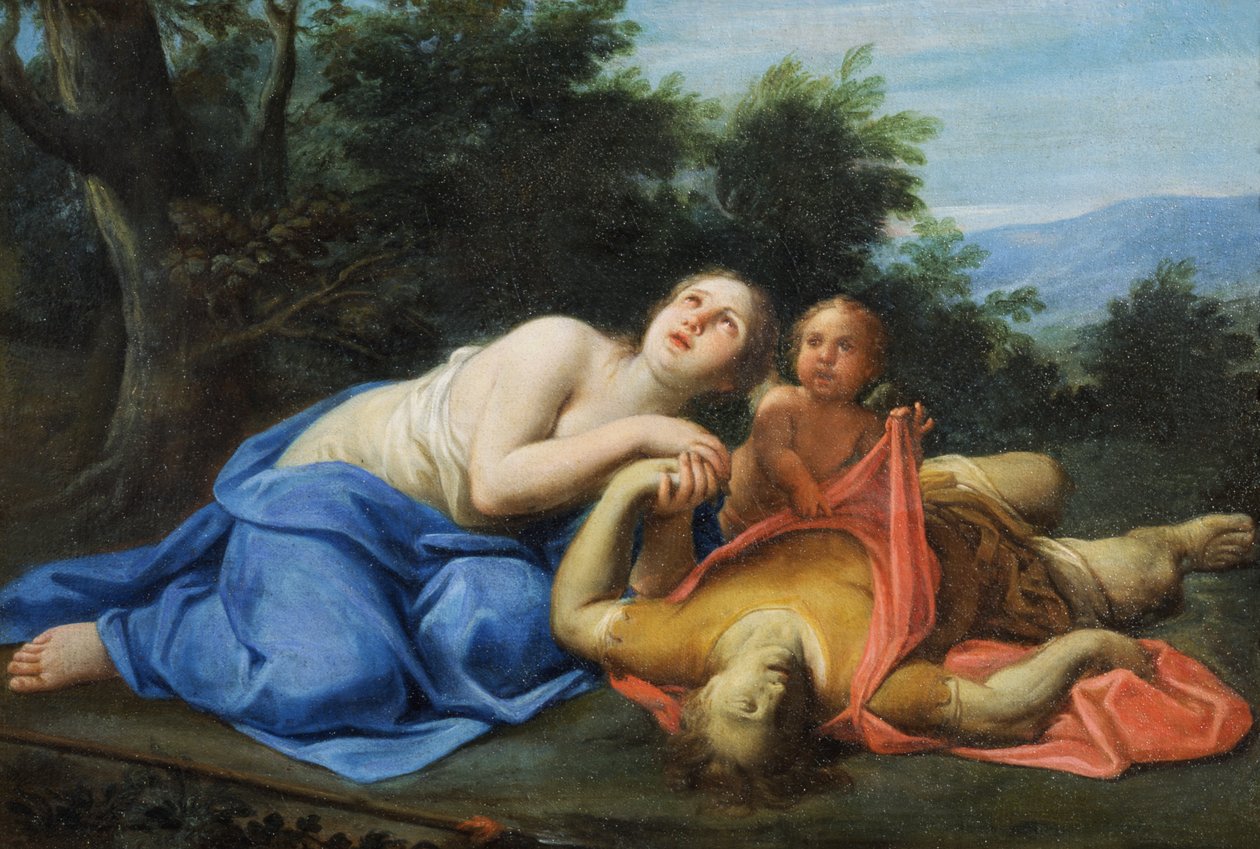 Bilinmeyen resim by Marcantonio Franceschini