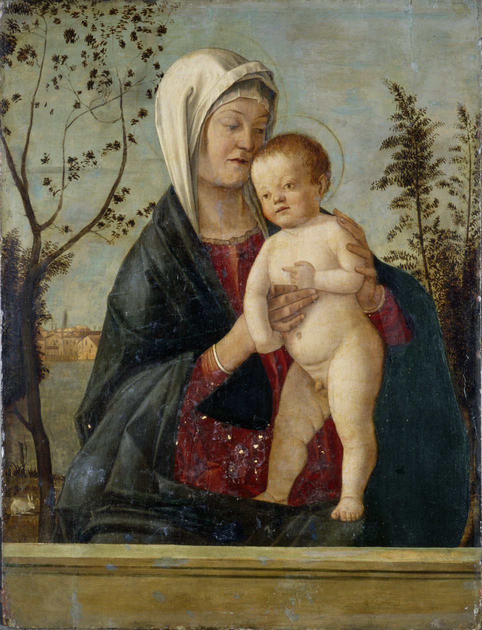 Madonna ve Çocuk, c.1510 (kavak ağacı üzerinde tempera) by Marco Basaiti