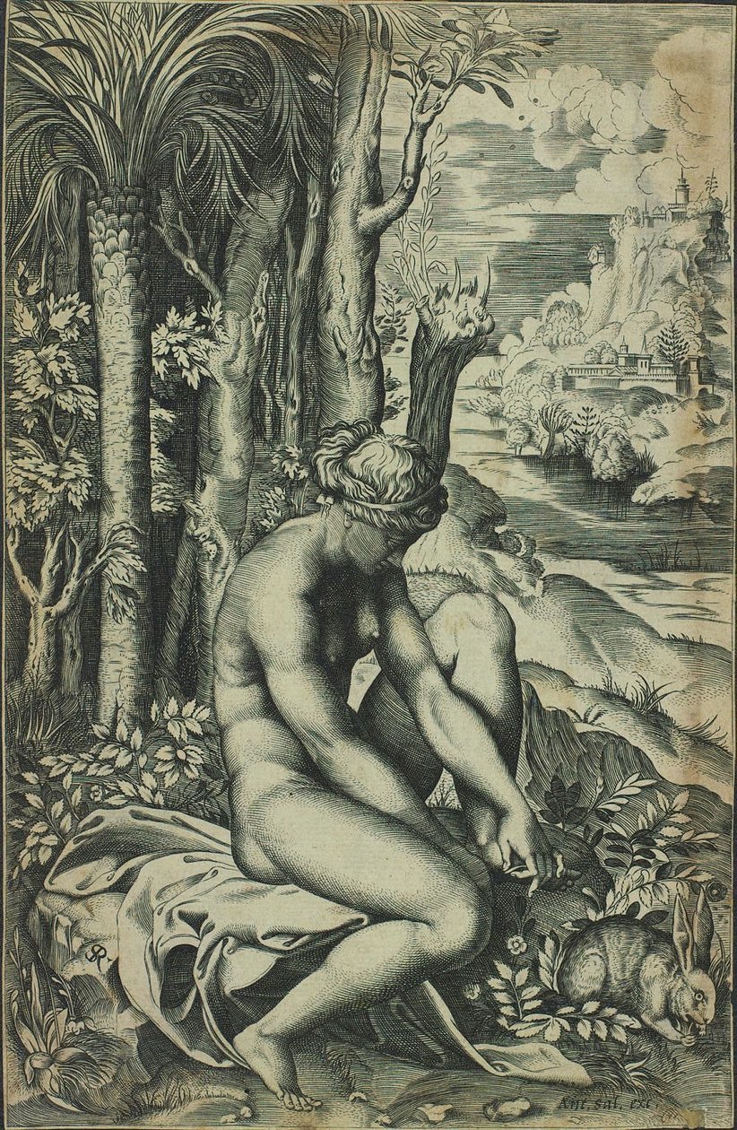 Venus wounded by a roses thorn by Marco Dente
