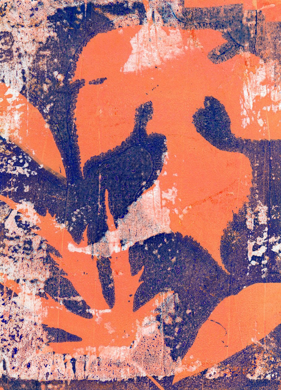  by Marco Campedelli