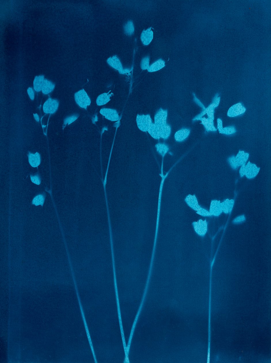  by Marco Campedelli